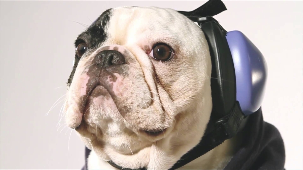 maxresdefault (1).jpg