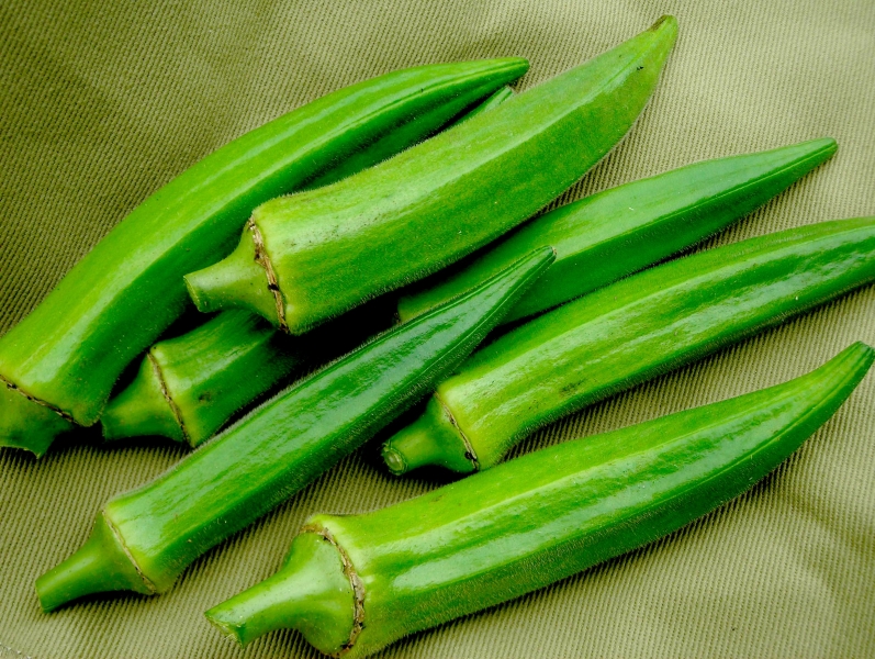 okra-lee_LRG.jpg
